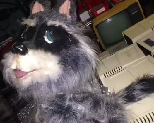 File:Bear Country Jubilee - Prop Racoon.avif