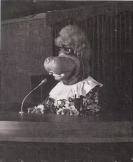 File:Kooser Dolli Dimples (Animatronic) - Western Foodservice (1979).avif