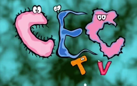 File:January 2002 Show.avif
