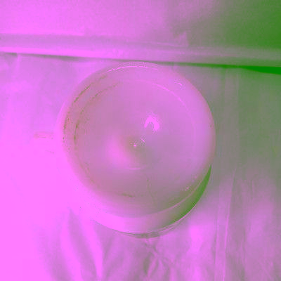 File:1981 Chuck E. Cheese Milk Glass Mug (3).avif