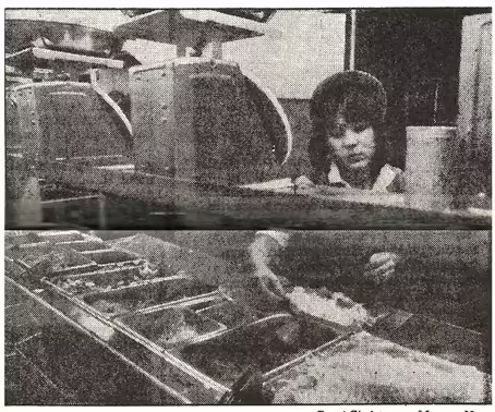 File:San Jose, CA (1371 Kooser Rd) - Kitchen (1979).avif