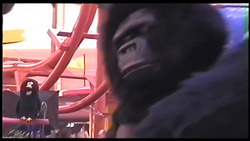 Bubba The Gorilla (Animatronic) - 1995-11-15.avif