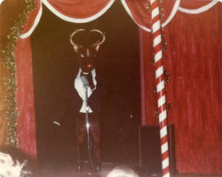 Rudolph (Animatronic) - Rudolph - Rudy in the early 80's - 1980.avif