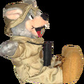 Thumbnail for version as of 05:06, 3 October 2026
