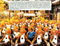 Thumbnail for version as of 04:20, 3 October 2026