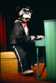 Thumbnail for version as of 04:16, 3 October 2026