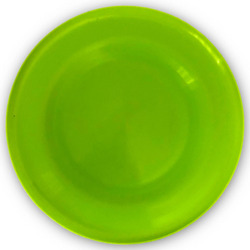 2017 Chuck E. Cheese S Summer Frisbee.avif
