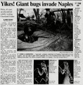 Thumbnail for version as of 05:33, 3 October 2026