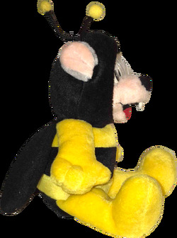 Photo - 2004 (16).avif