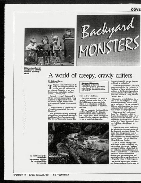 File:Backyard Monsters (15).avif