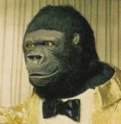 Monke.avif