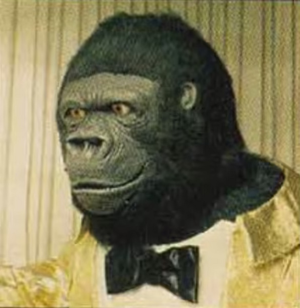 File:Monke.avif