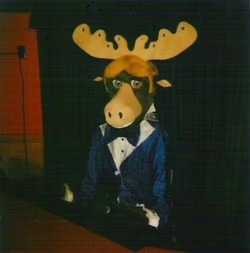 Artie Antlers Showtape.avif