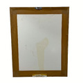 Thumbnail for version as of 04:38, 3 October 2026