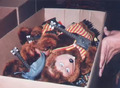 Thumbnail for version as of 04:33, 3 October 2026