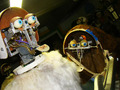 Thumbnail for version as of 04:24, 3 October 2026