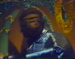 Fats Gorilla (Animatronic) - King's Dominion (1981).avif