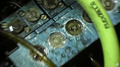 Thumbnail for version as of 04:15, 3 October 2026