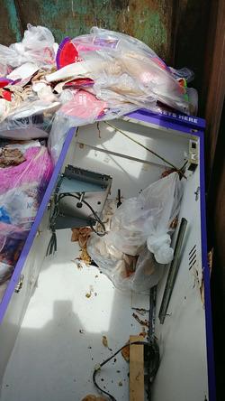 Ticket Muncher - Ticket Muncher in a dumpster - 2020-08-23.avif