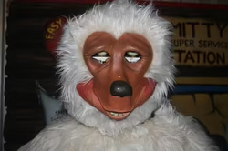 Beach Bear (Animatronic) (14).avif