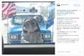Thumbnail for version as of 05:08, 3 October 2026