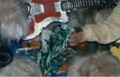Thumbnail for version as of 04:22, 3 October 2026