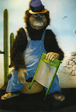 Hofmann Monkey Show - Hellendoorn Western Monkey on Washboard.avif
