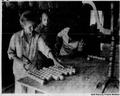 Thumbnail for version as of 04:17, 3 October 2026